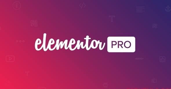 Elementor 专业版 v3.18.3-尚睿切图网